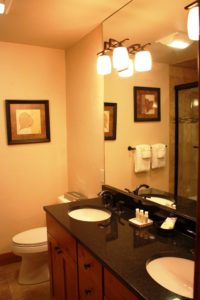 Dual sink vanity with toilet view