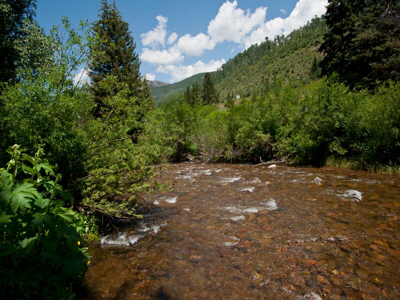 View of Gore Creek in the summer