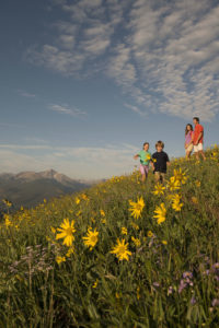 Family standing in flower field on mountain