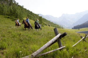 Group of 3 riding horseback in meadow