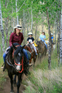 Group horseback rising through trail