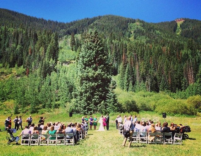Wedding ceremony in front of large tree in a meadow