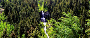 Aerial view of waterfall in between trees