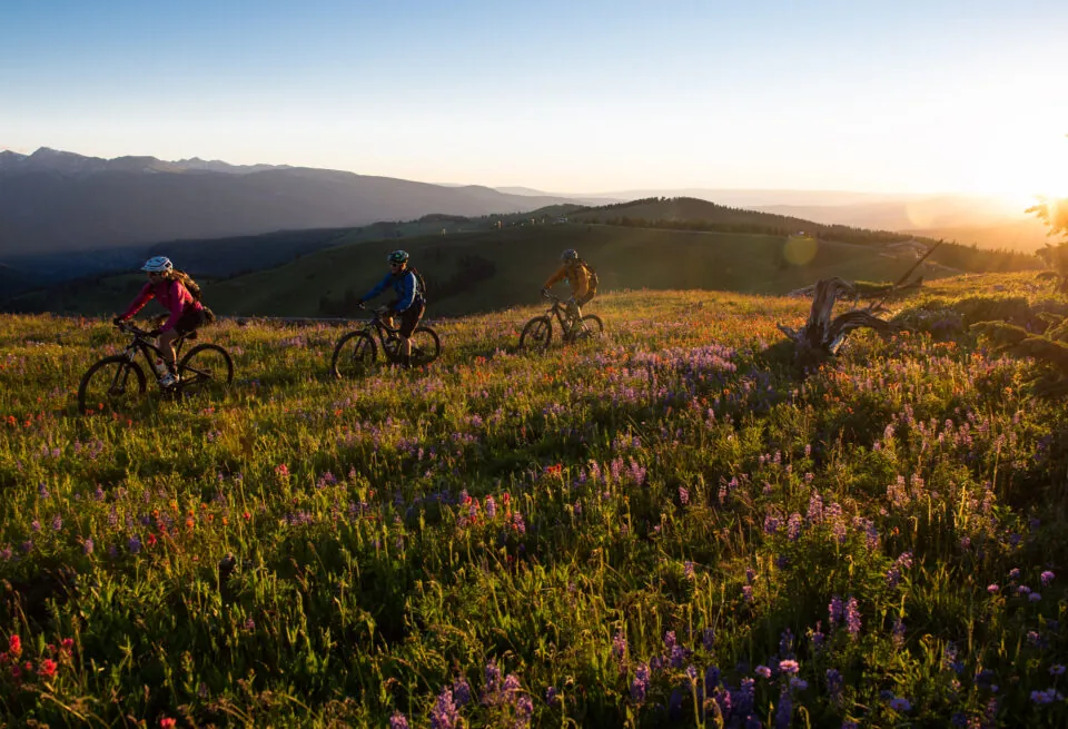 Four people ride mountain bikes through a sunlit meadow filled with wildflowers, with hills and distant mountains in the background.