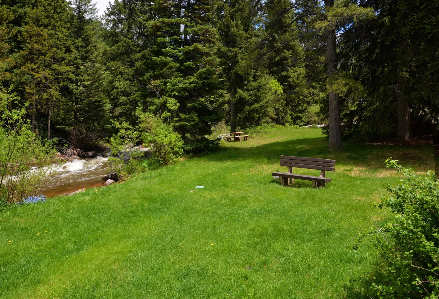 A wooden bench faces a flowing creek in a grassy, shaded park surrounded by tall evergreen trees.